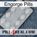 Engorge Pills 16